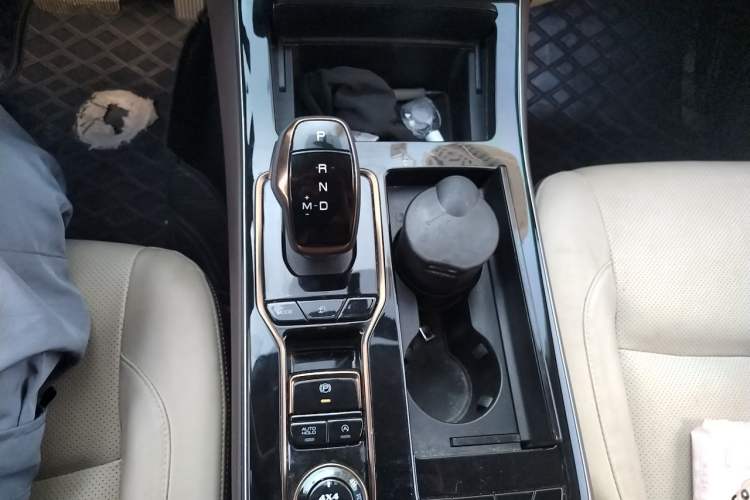Used Dongfeng Fengdu Paladin 2023 2.0T Four-Wheel Drive Luxury Edition Gear Lever