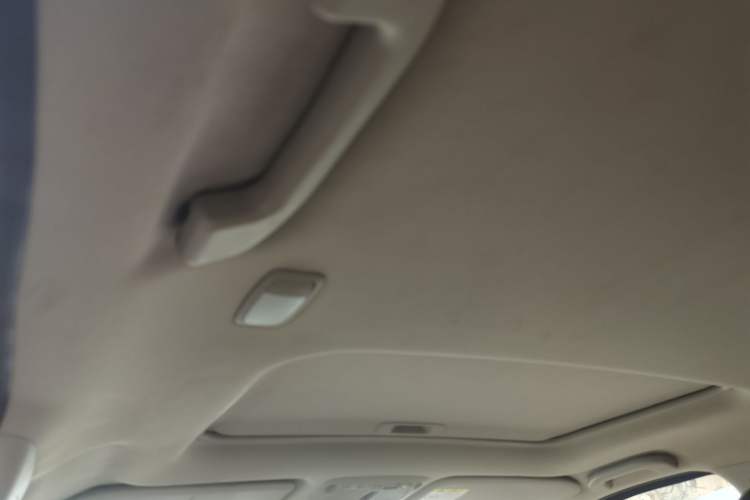 Used Dongfeng Fengdu Paladin 2023 2.0T Four-Wheel Drive Luxury Edition Headliner
