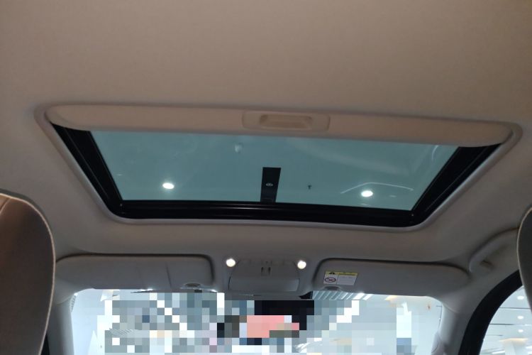 Used Dongfeng Fengdu Paladin 2023 2.0T Four-Wheel Drive Smart Edition Headliner