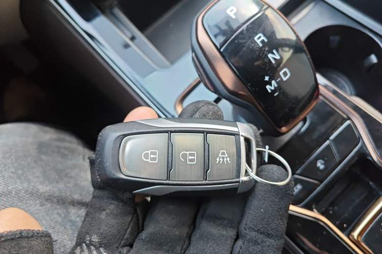 Used Dongfeng Fengdu Paladin 2023 2.0T Four-Wheel Drive Luxury Edition Interior 1