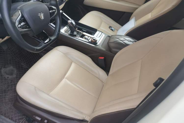 Used Dongfeng Fengdu Paladin 2023 2.0T Four-Wheel Drive Luxury Edition Left Front Seat