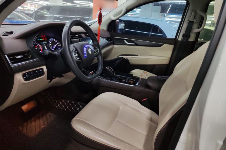 Used Dongfeng Fengdu Paladin 2023 2.0T Four-Wheel Drive Luxury Edition Left Front Seat