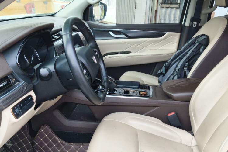 Used Dongfeng Fengdu Paladin 2023 2.0T Four-Wheel Drive Luxury Edition Left Front Seat