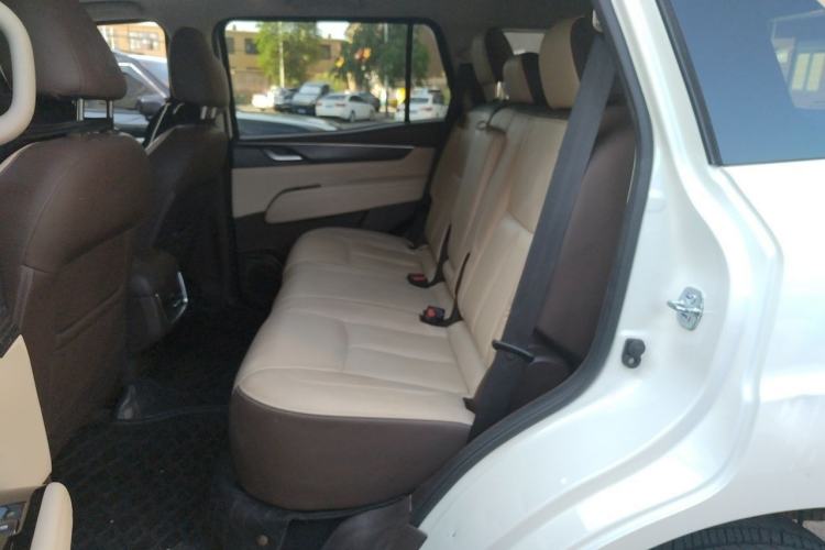 Used Dongfeng Fengdu Paladin 2023 2.0T Four-Wheel Drive Luxury Edition Left Rear Seat