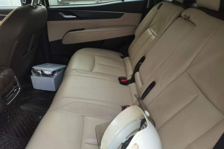 Used Dongfeng Fengdu Paladin 2023 2.0T Four-Wheel Drive Luxury Edition Left Rear Seat