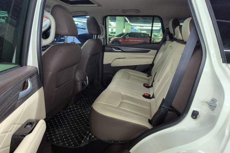 Used Dongfeng Fengdu Paladin 2023 2.0T Four-Wheel Drive Luxury Edition Left Rear Seat