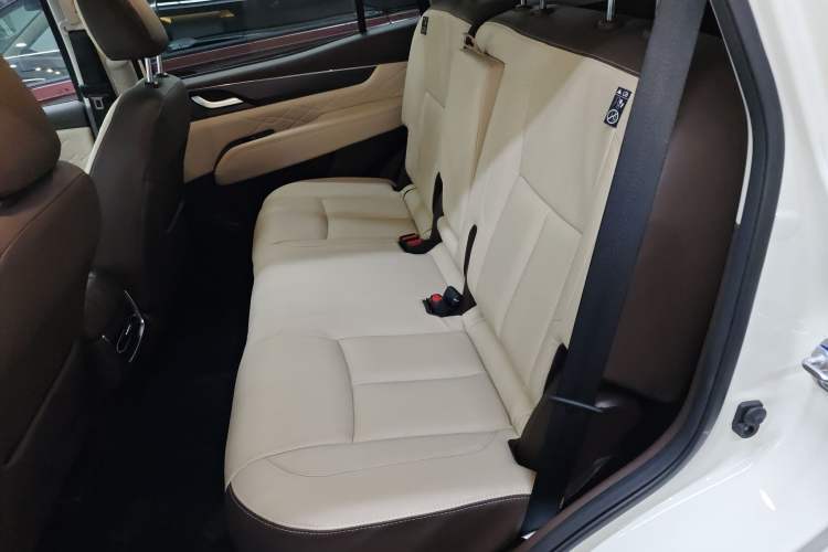 Used Dongfeng Fengdu Paladin 2023 2.0T Four-Wheel Drive Smart Edition Left Rear Seat