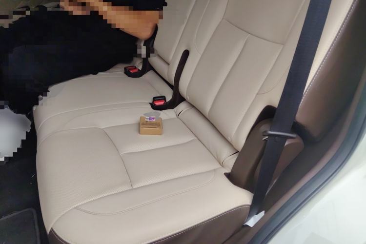 Used Dongfeng Fengdu Paladin 2023 2.0T Four-Wheel Drive Luxury Edition Left Rear Seat