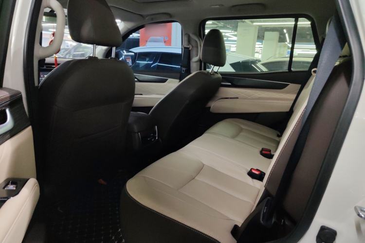 Used Dongfeng Fengdu Paladin 2023 2.0T Four-Wheel Drive Luxury Edition Left Rear Seat