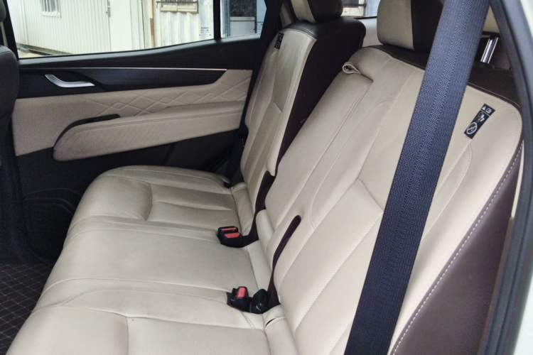 Used Dongfeng Fengdu Paladin 2023 2.0T Four-Wheel Drive Luxury Edition Left Rear Seat