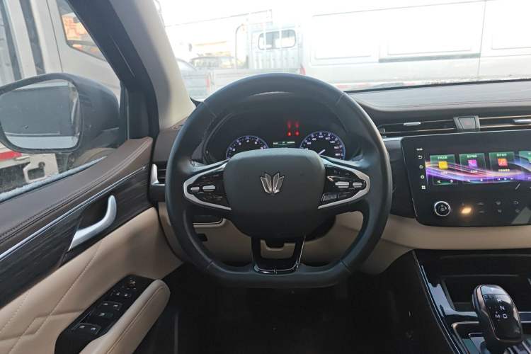 Used Dongfeng Fengdu Paladin 2023 2.0T Four-Wheel Drive Luxury Edition Steering Wheel