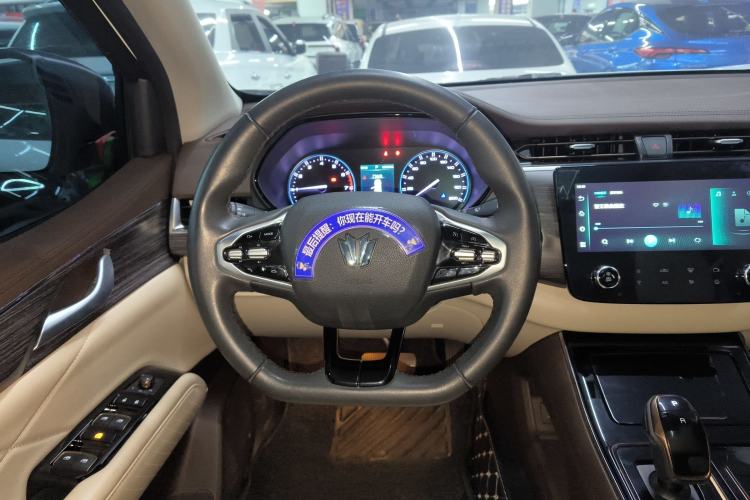 Used Dongfeng Fengdu Paladin 2023 2.0T Four-Wheel Drive Luxury Edition Steering Wheel