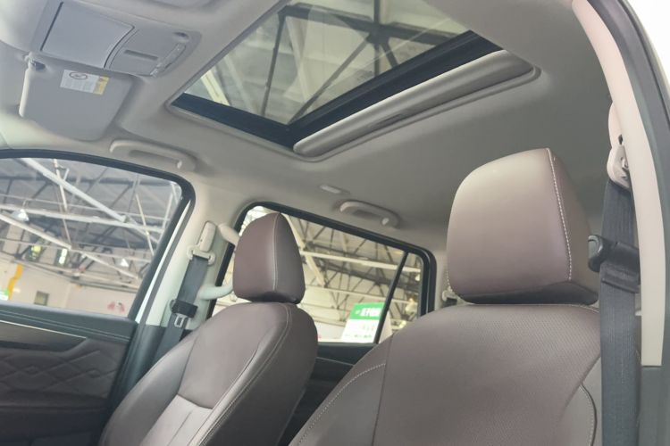 Used Dongfeng Fengdu Paladin 2024 2.0T Four-Wheel Drive Deluxe Edition Dynamic Version Headliner