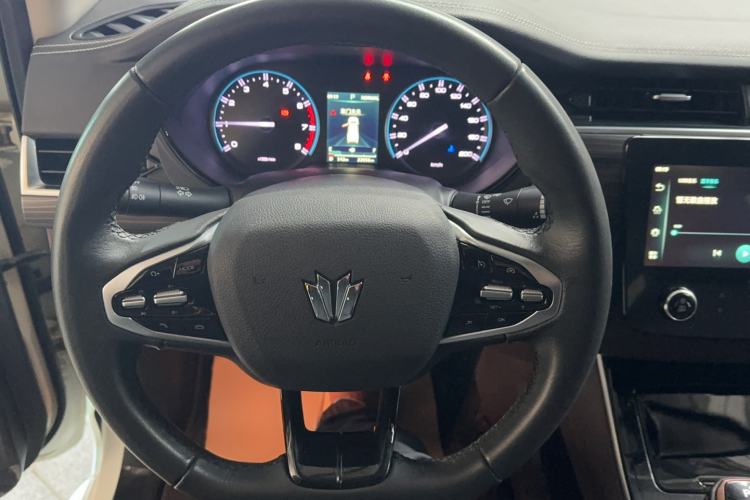 Used Dongfeng Fengdu Paladin 2024 2.0T Four-Wheel Drive Deluxe Edition Dynamic Version Steering Wheel