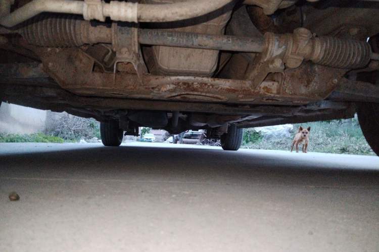 Used Dongfeng Fengon 330 2014 1.5L Manual Utility Version DK15 Chassis Front