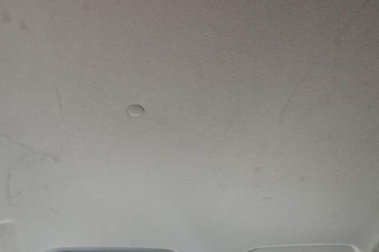 Used Dongfeng Fengon 330 2019 1.5L Manual Practical II China VI Headliner