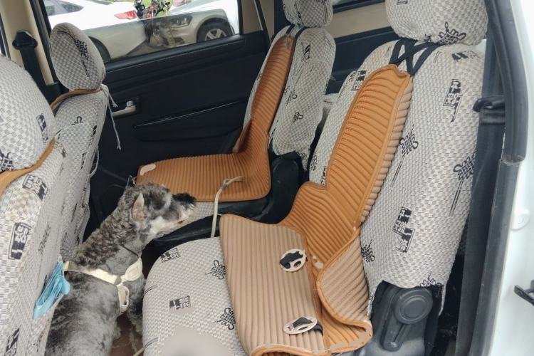 Used Dongfeng Fengon 330 2019 1.5L 330S Manual Luxury Edition China VI Standard Left Rear Seat