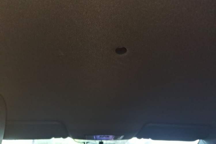 Used Dongfeng Fengon 500 2021 1.5L CVT Enjoyment Model Headliner
