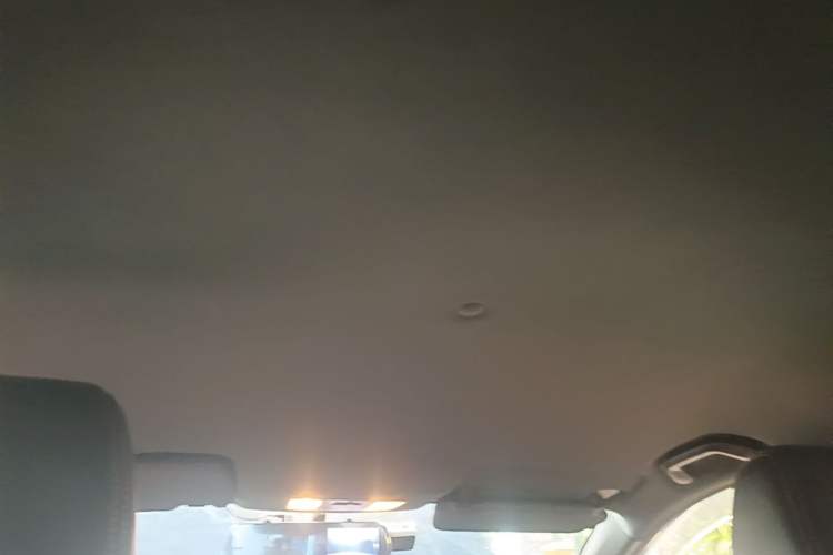 Used Dongfeng Fengon 500 2021 1.5L Manual Enjoyment Model Headliner