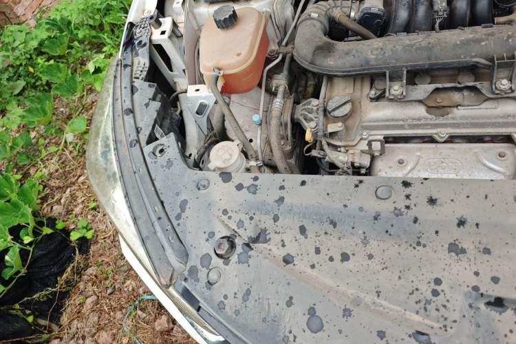 Used Dongfeng Fengon 500 2021 1.5L CVT Enjoyment Version Engine Bay Right
