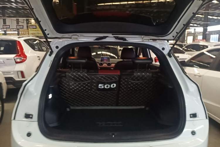 Used Dongfeng Fengon 500 2021 1.5L CVT Enjoyment Version Trunk