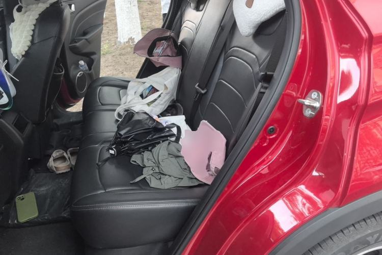 Used Dongfeng Fengon 500 2022 1.5L CVT Enjoyment Version Left Rear Seat
