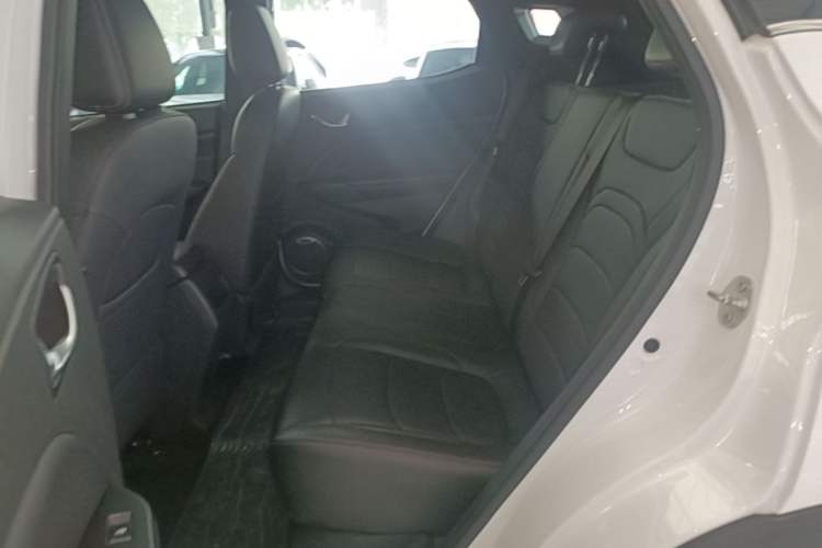 Used Dongfeng Fengon 500 2022 1.5L CVT Enjoyment Version Left Rear Seat