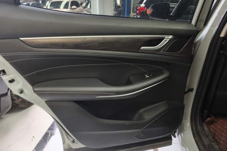 Used Dongfeng Fengon 580 2022 1.5T Automatic Enjoyment Model Left Rear Door Interior