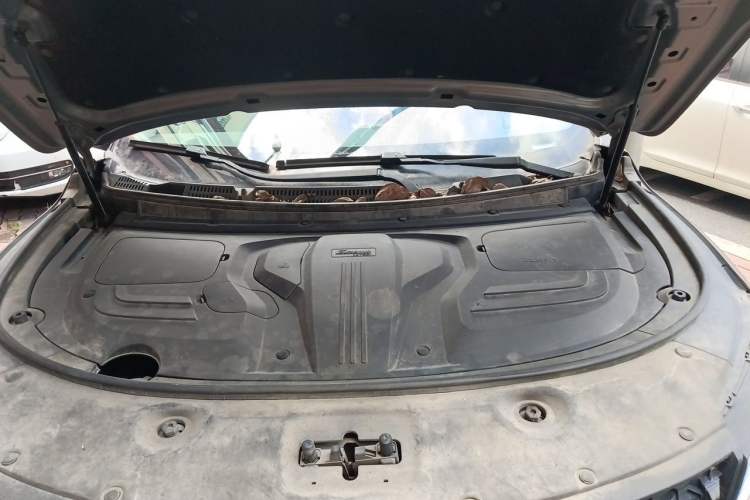 Used Dongfeng Fengon 580 2021 ☆ Star Edition 1.5 TGDI Automatic Prestige Version Engine Bay