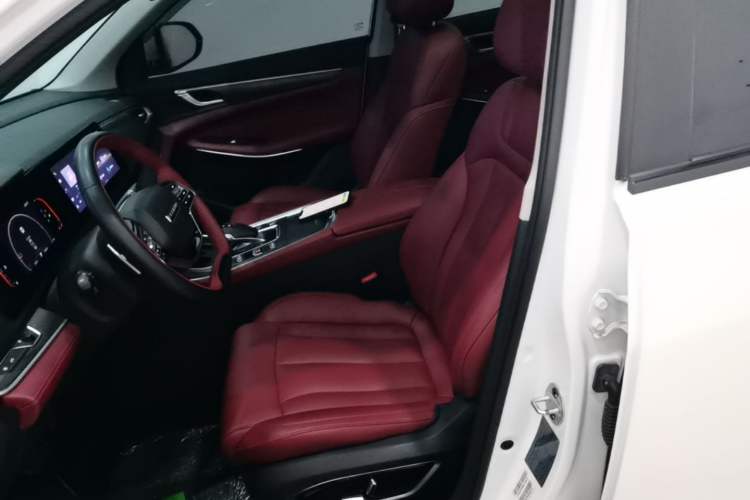 Used Dongfeng Fengon 580 2022 1.5T Automatic Luxury Edition Left Front Seat
