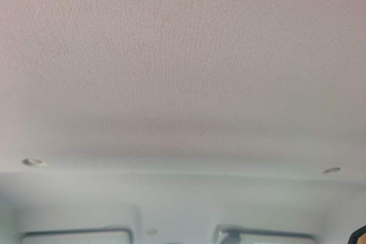 Used Dongfeng Fengon E1 2020 E-Intelligent Model Headliner