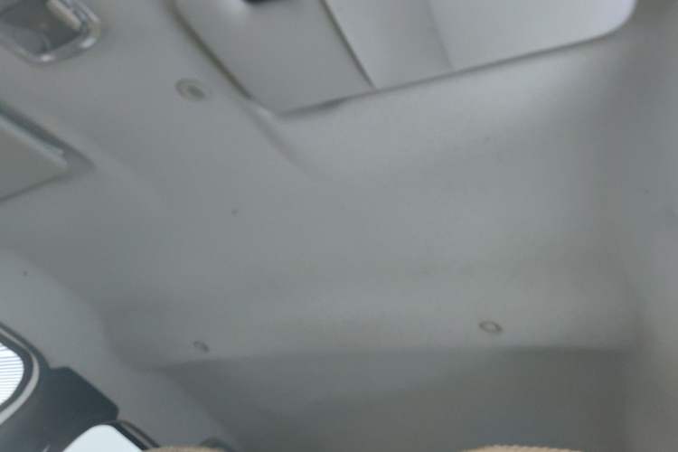 Used Dongfeng Fengon E1 2020 E-Motion Model Headliner