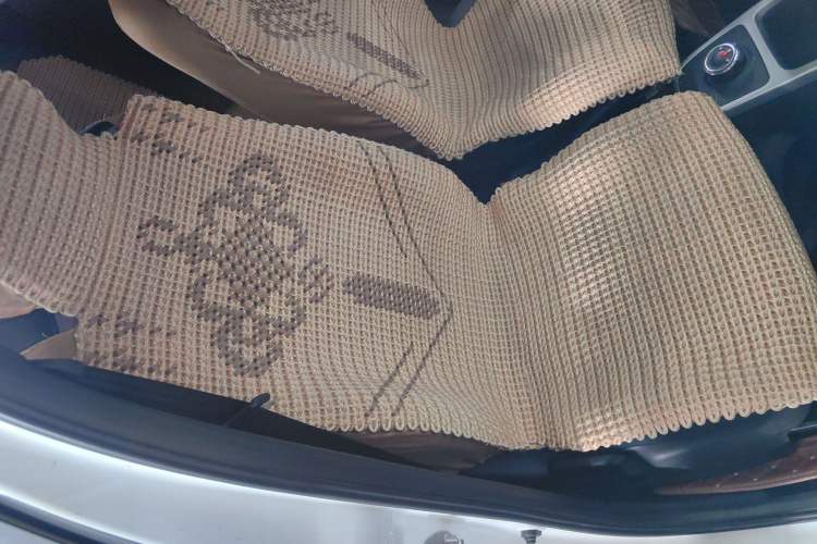 Used Dongfeng Fengon E1 2020 E-Motion Model Right Front Seat