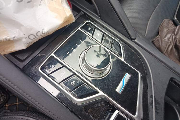 Used Dongfeng Fengon E3 2019 EVR Extended-Range Luxury Model Gear Lever