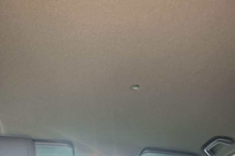 Used Dongfeng Fengon E3 2019 EV Zhiyue Model Custom Edition Headliner