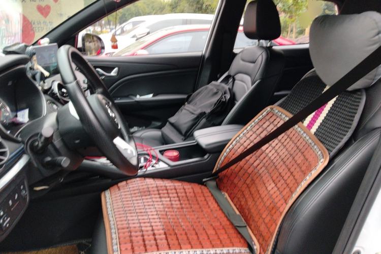 Used Dongfeng Fengon E3 2019 EVR Range-Extended Smart Model Left Front Seat