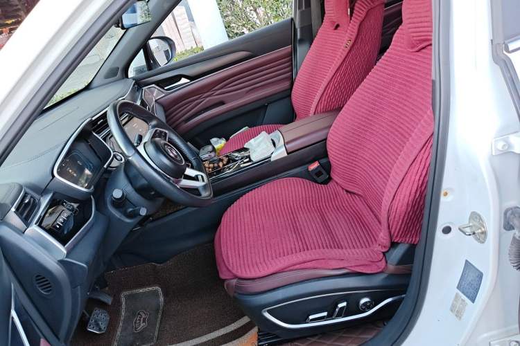 Used Dongfeng Fengon ix5 2019 280TGDI CVT ZhiZun Trim China V Emission Standard Left Front Seat