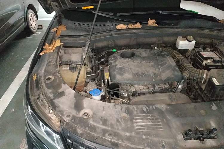 Used Dongfeng Fengon ix7 2020 2.0 TGDI Automatic All-Wheel-Drive Pioneer Edition Engine Bay Right