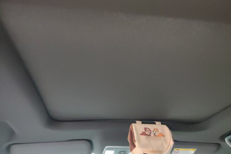 Used Dongfeng Fengon ix7 2020 2.0 TGDI Automatic Two-Wheel Drive Urban Luxury Edition Headliner