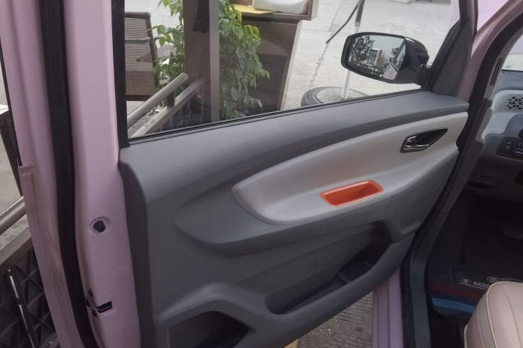 Used Dongfeng Fengon MINIEV 2022 Shishi Style Luxury Version Left Rear Door Interior