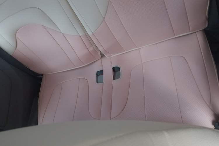 Used Dongfeng Fengon MINIEV 2022 Shishi Style Luxury Version Left Rear Seat