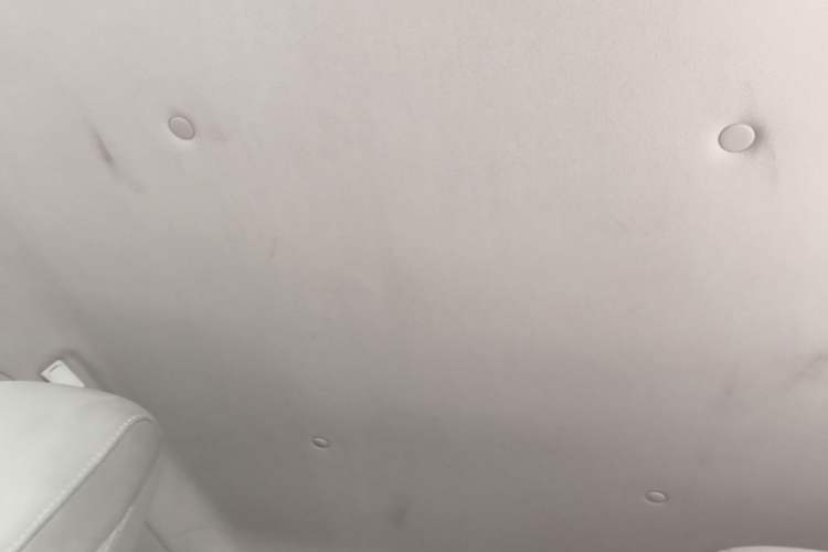 Used Dongfeng Fengon MINIEV 2022 Simple Style Comfort Version Headliner