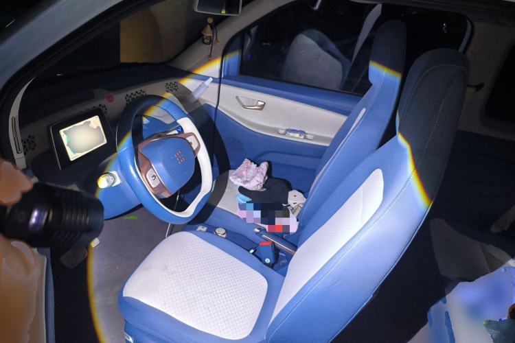 Used Dongfeng Fengon MINIEV 2022 Candy Edition Lightly Sweeted Left Front Seat