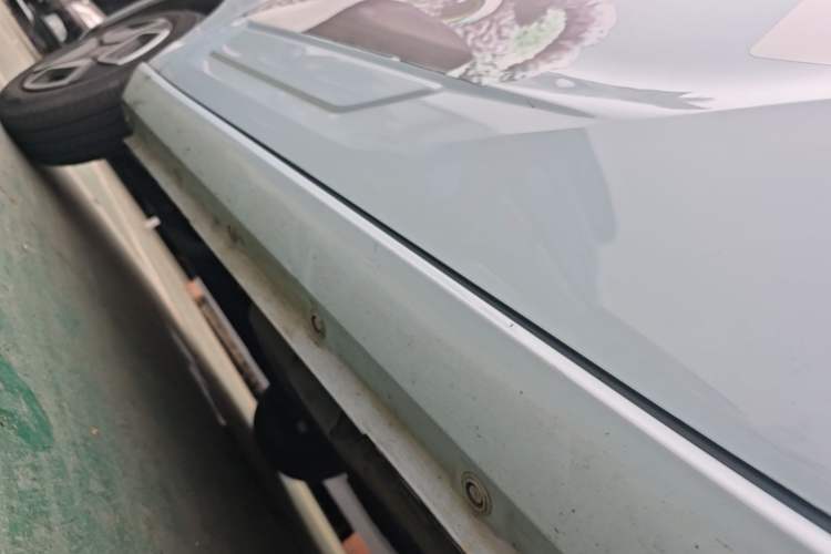 Used Dongfeng Fengon MINIEV 2022 Candy Edition Half-Sugar Left Side Sill