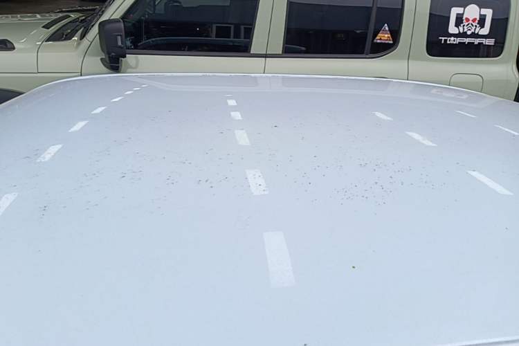 Used Dongfeng Fengon MINIEV 2022 Candy Edition Half-Sugar Roof