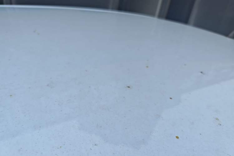Used Dongfeng Fengon MINIEV 2022 Candy Edition Half-Sugar Roof