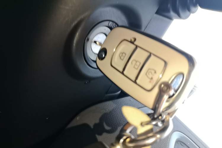 Used Dongfeng Fengon MINIEV 2022 Shishi Style Luxury Version Vehicle Key