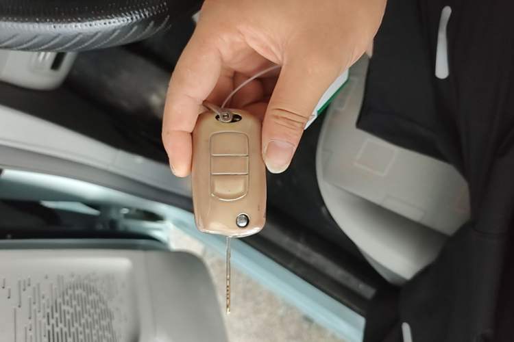 Used Dongfeng Fengon MINIEV 2022 Shishi Style Luxury Version Vehicle Key