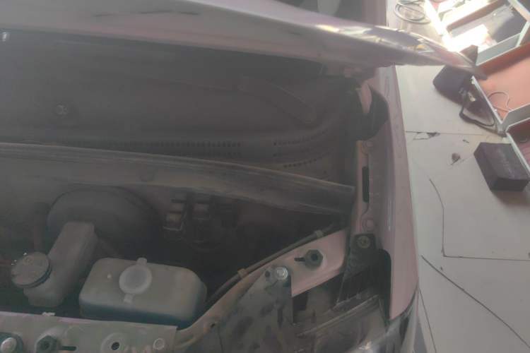 Used Dongfeng Fengon MINIEV 2022 Shishi Style Luxury Version Engine Bay Left
