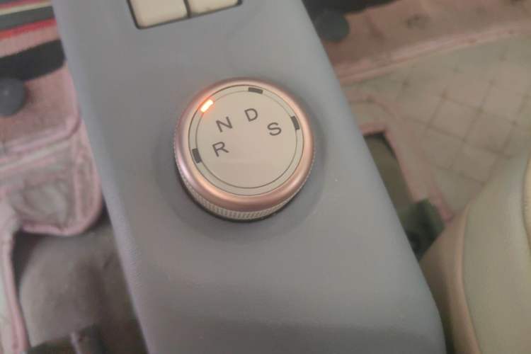 Used Dongfeng Fengon MINIEV 2022 Shishi Style Luxury Version Gear Lever